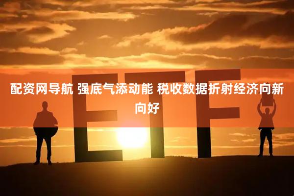 配资网导航 强底气添动能 税收数据折射经济向新向好