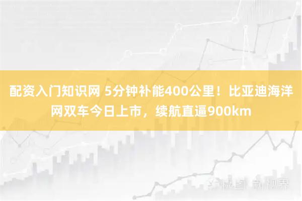 配资入门知识网 5分钟补能400公里！比亚迪海洋网双车今日上市，续航直逼900km